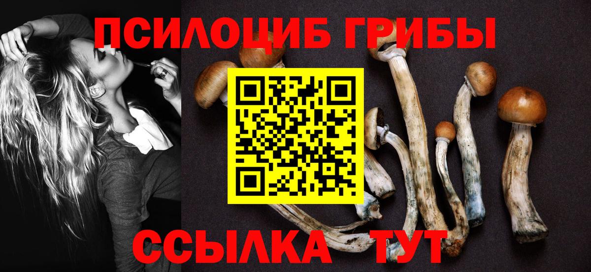 Галлюциногенные грибы Cubensis  Вход с VPN  Углич  Псилоцибиновые грибы мухоморы 